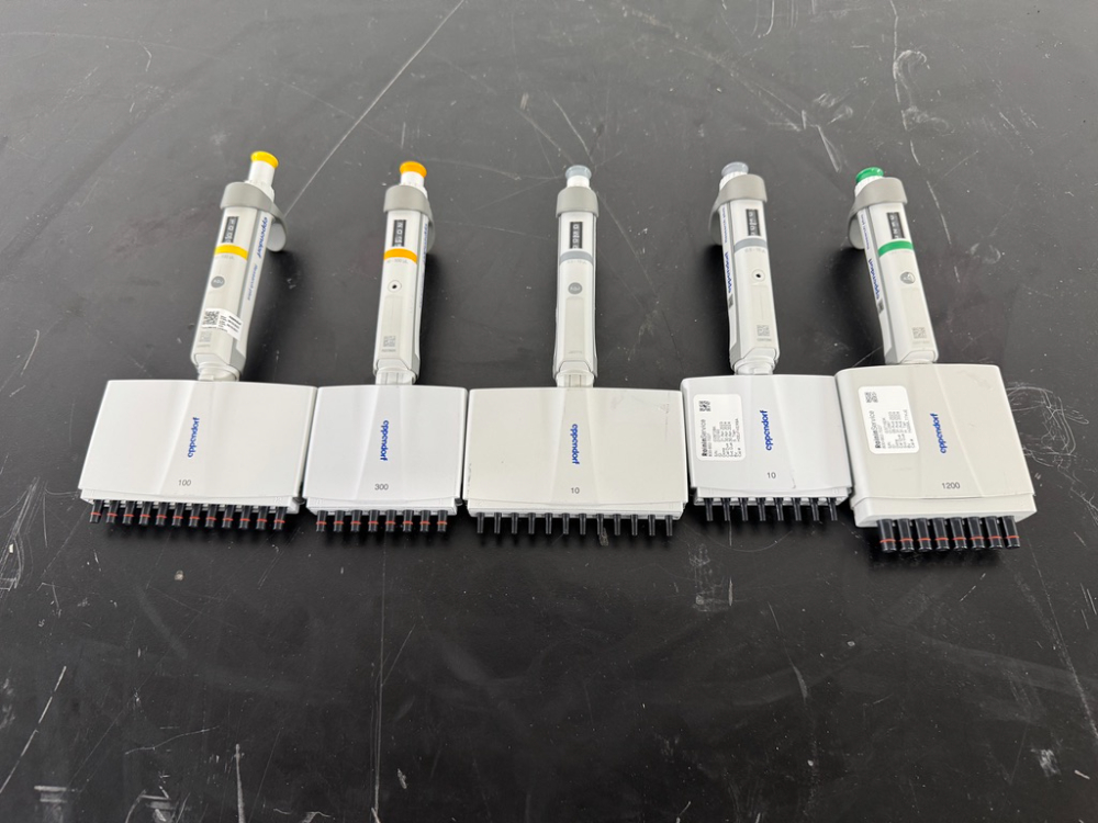 Image of Eppendorf Research Plus Multichannel Pipettes - Quantity 5